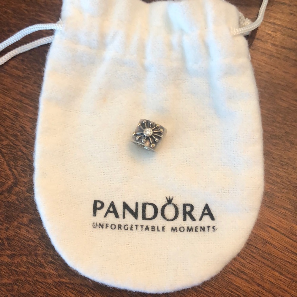 Pandora Charm